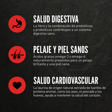 Dry Fit & Trim Cat - imagen 5 de 12