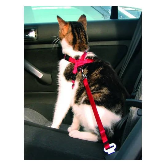 Arnés Y Cinturón Seguridad Gatos 20-50 cm Rojo