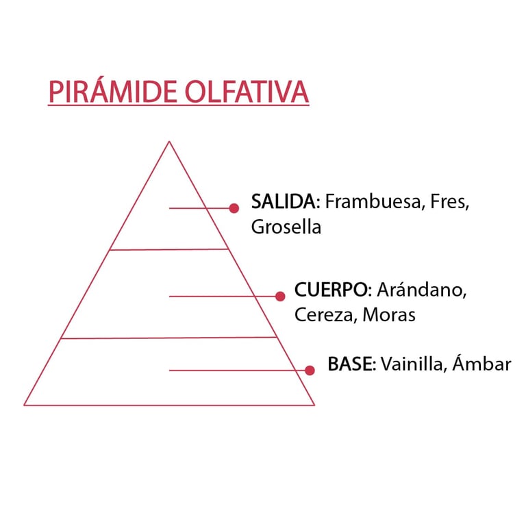 Esencia Frutos Rojos - imagen 14 de 19