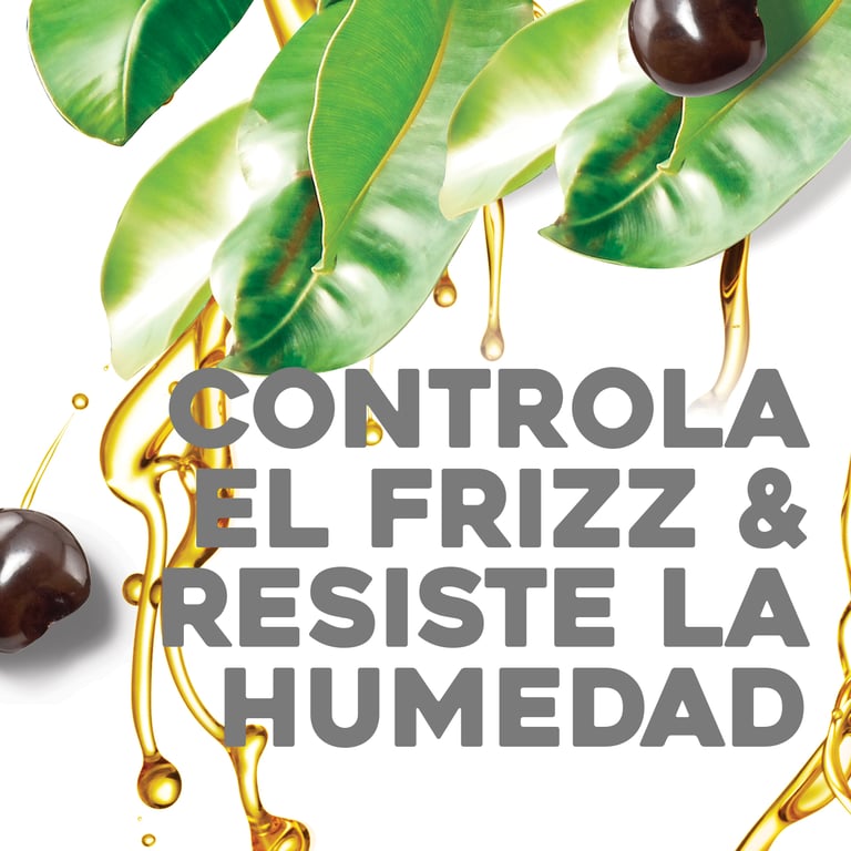 Kukui Oil Anti-Frizz Hair Conditioner 385 ml da OGX
