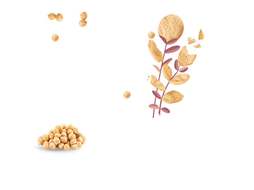 Bio-Haselnuss Crackers - imagen 6 de 7