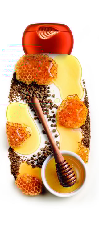 Original Remedies Shampoo Honigschätze 300 ml von Garnier