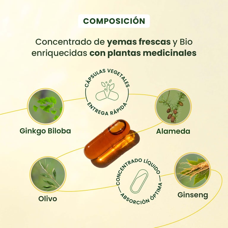 Gemmocaps Stress-Protect Cognición - imagen 4 de 6