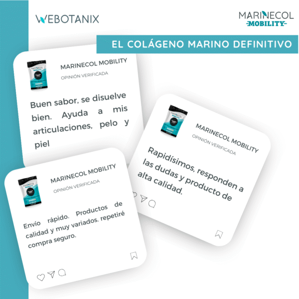Mobility - imagen 6 de 13