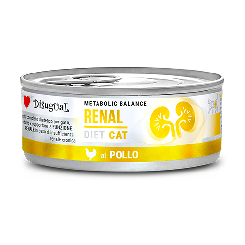 Renal de Pollo