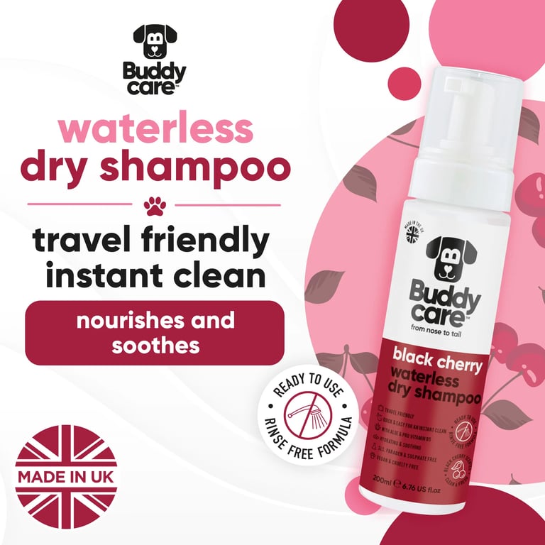 Shampooing Sec Cerise Noire - imagen 2 de 5