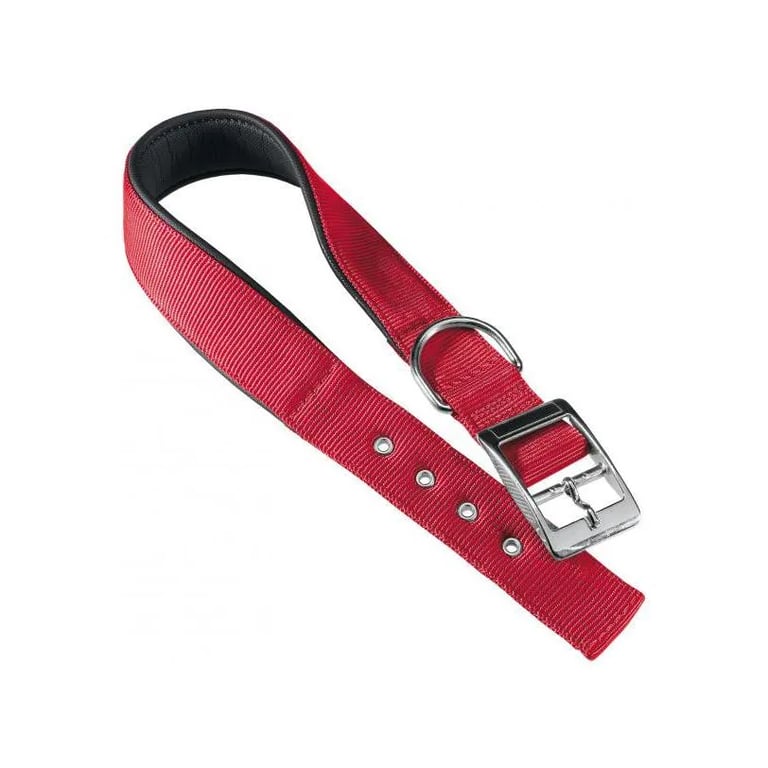 Collar Nylon Daytona C 20 43
