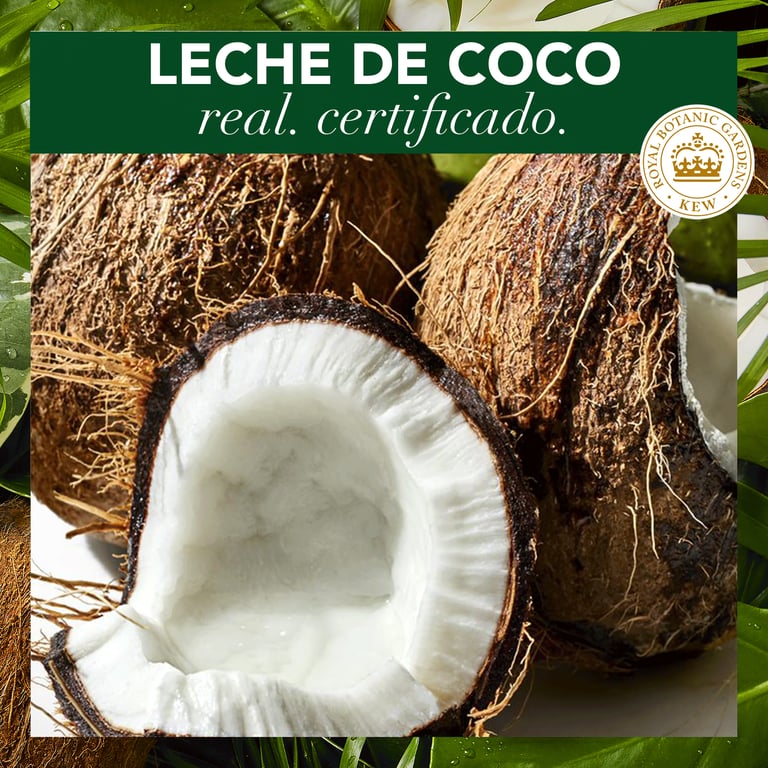 Bio Après-Shampooing Hydrate Lait De Coco 275 ml de Herbal Essences