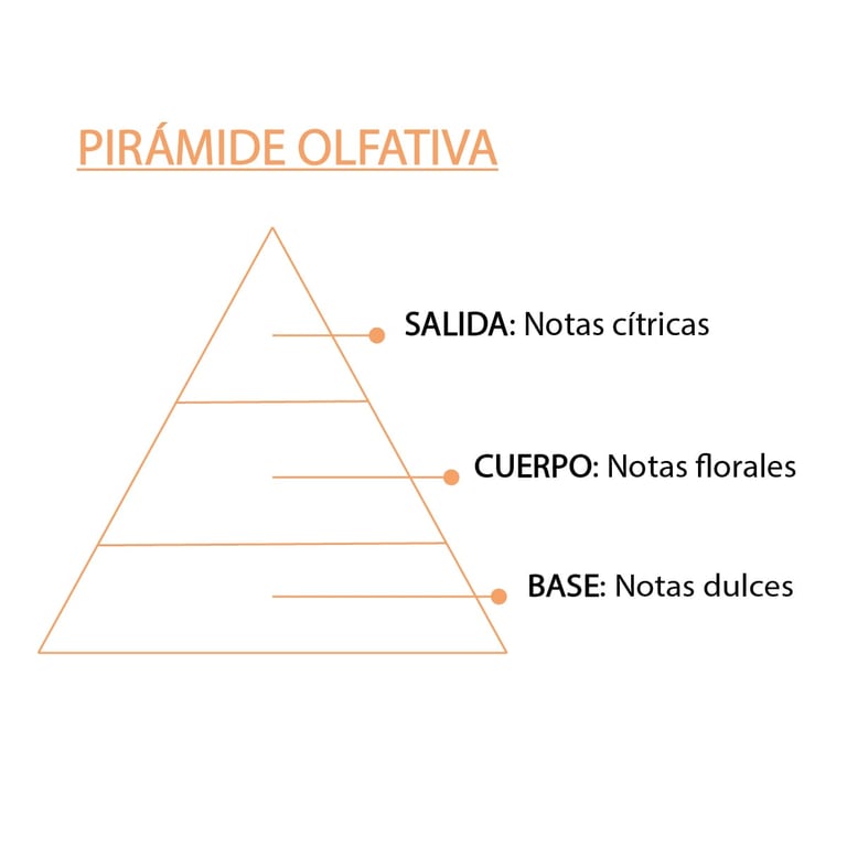 Essence d'Orange - imagen 6 de 7
