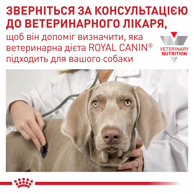 Veterinary Cardiac Cani - imagen 6 de 7