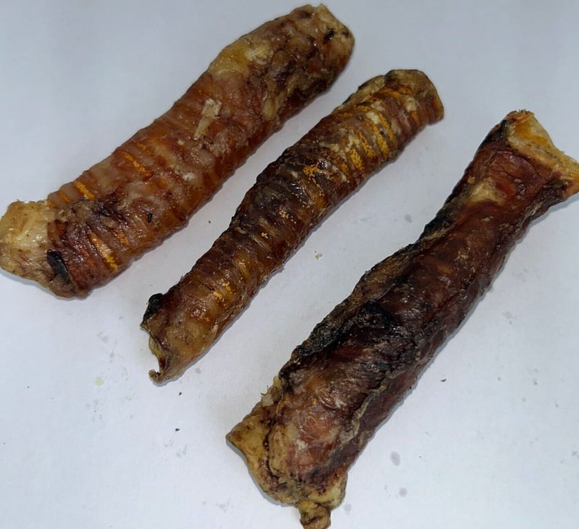 Tráquea de Cerdo Pequeña