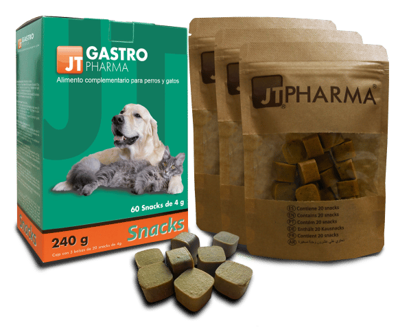 Gastro Pharma - imagen 3 de 3