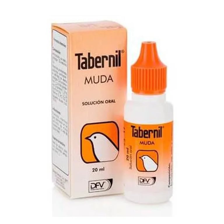 Tabernil Muda