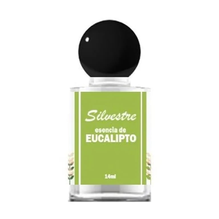 Esencia De Eucalipto