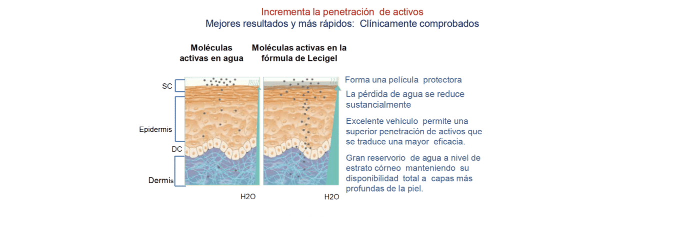 Sinartrix Creme - imagen 7 de 8
