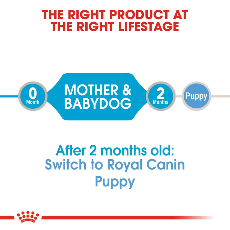 Mousse Starter Mother & Babydog - imagen 4 de 7
