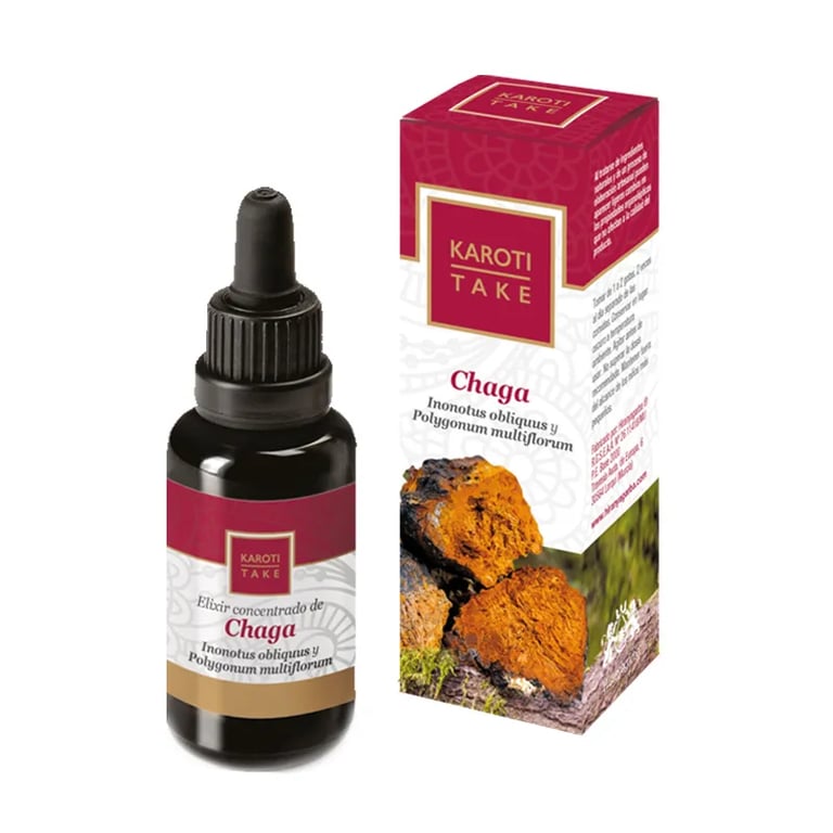 Karoti-Take Chaga