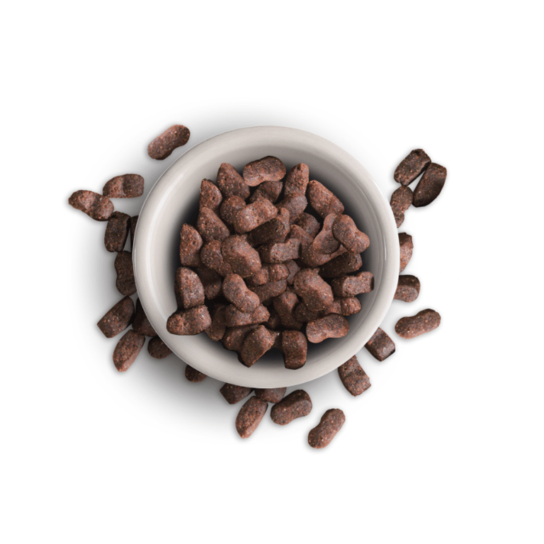 Getreidefreies Erwachsenen Futter Maxi - imagen 2 de 4