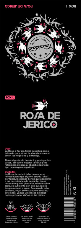Jericho-Rose in Dose - imagen 3 de 5