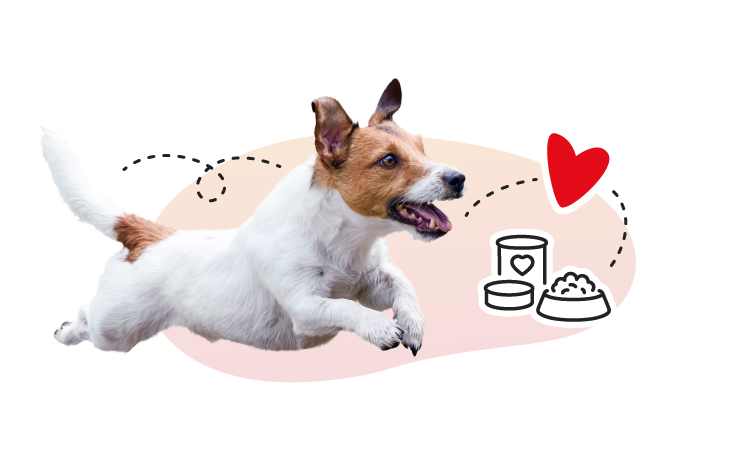 Dog Monoproteína de Pato