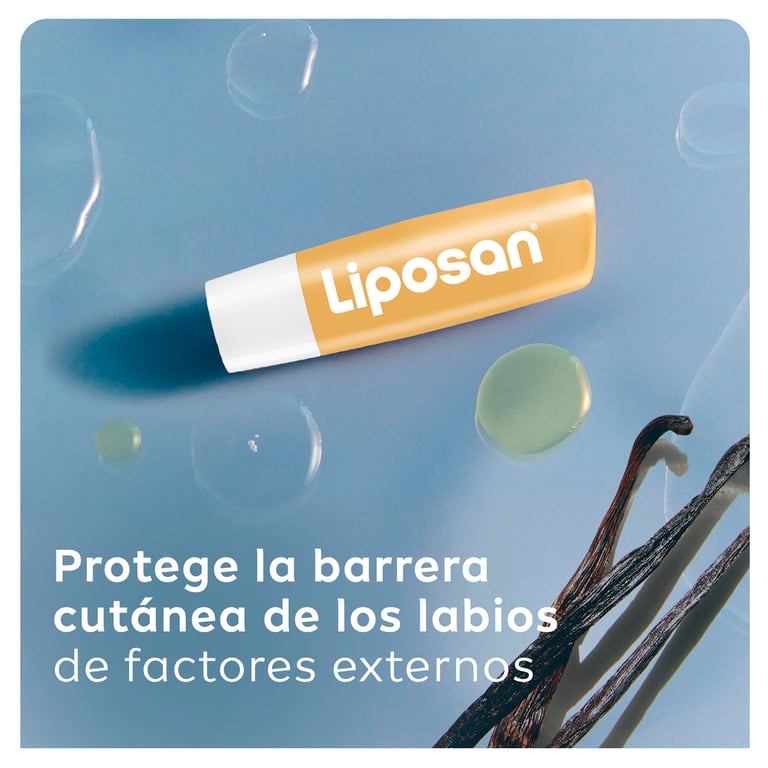 Liposan Vanilla Butter Cream 24H de Liposan