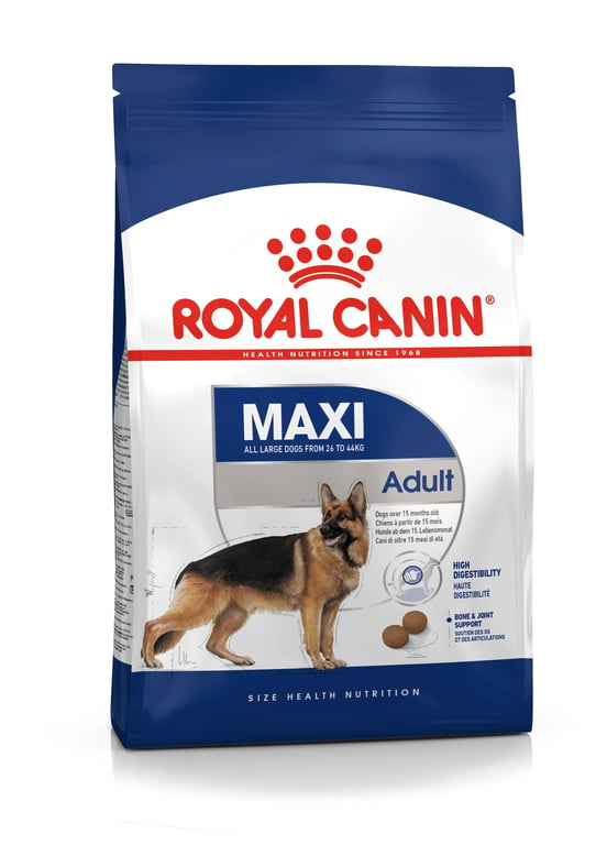 Maxi Adultos Raça Grande
