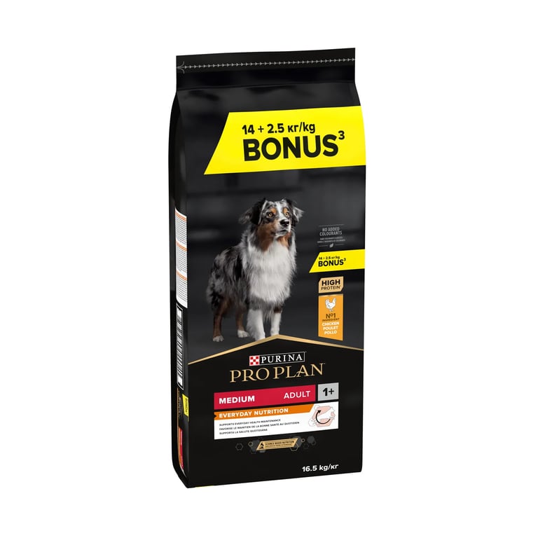 Cão Adulto Medio Everyday Nutrition Frango