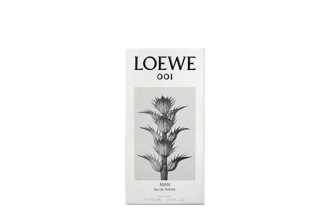 Loewe 001 Man Edt Spray 100 ml von Loewe