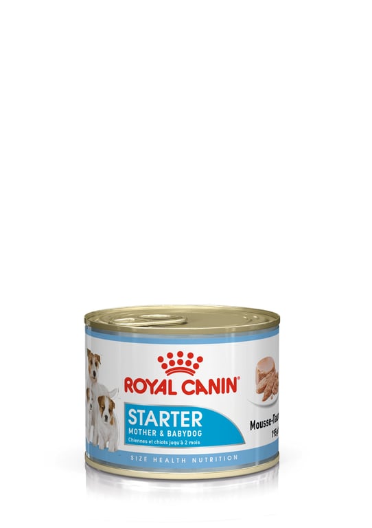 Mousse Starter Mother & Babydog