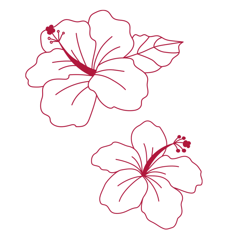 Snack Hibiscus - imagen 2 de 2