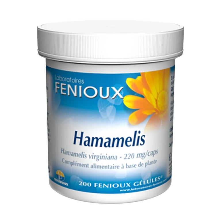 Hamamelis