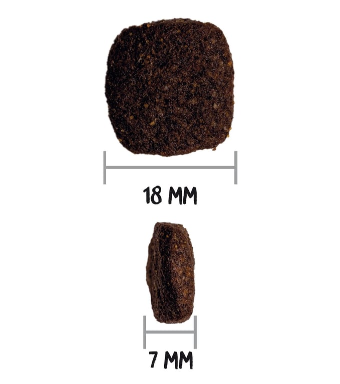 Prime Grain Free Adult Chicken Turkey Dog - imagen 8 de 8