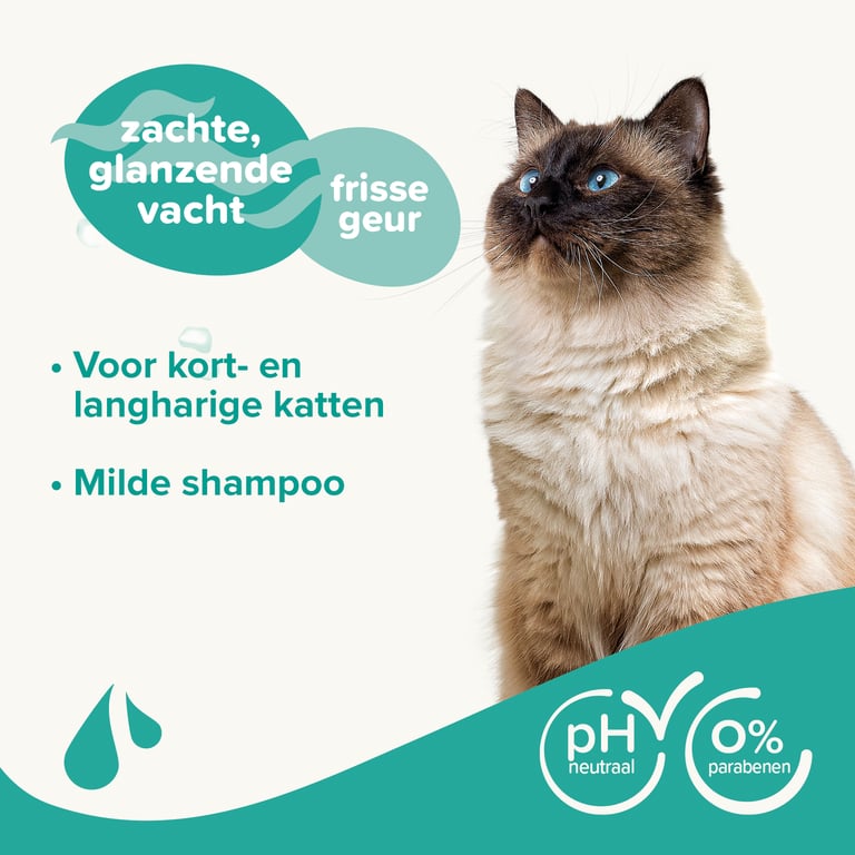 Shampoing Rongeurs - imagen 10 de 10