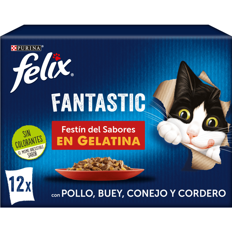 Fantastic Festín de Sabores en Gelatina