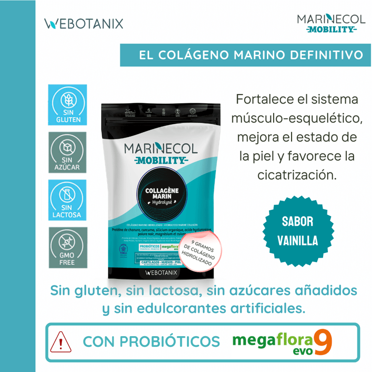 Mobility - imagen 11 de 13