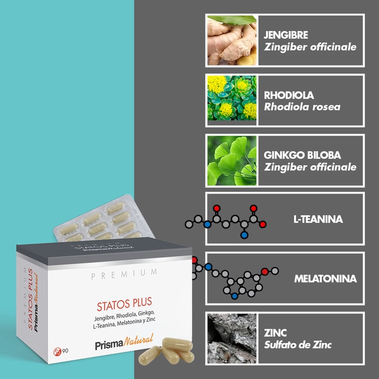 Statos Plus - imagen 4 de 5