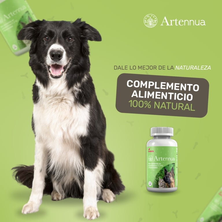 Artennua - imagen 2 de 2