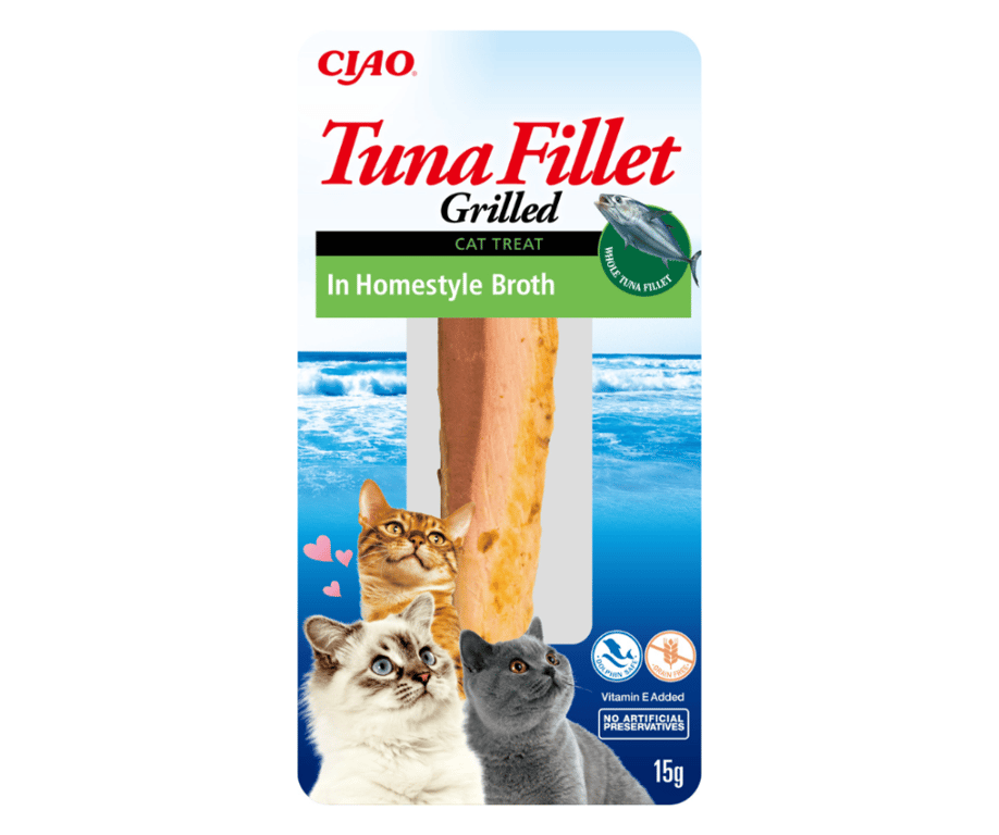 Thunfischfilet mit hausgemachter Brühe
