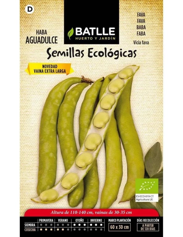 Graines de Fève Superaguadulce Eco