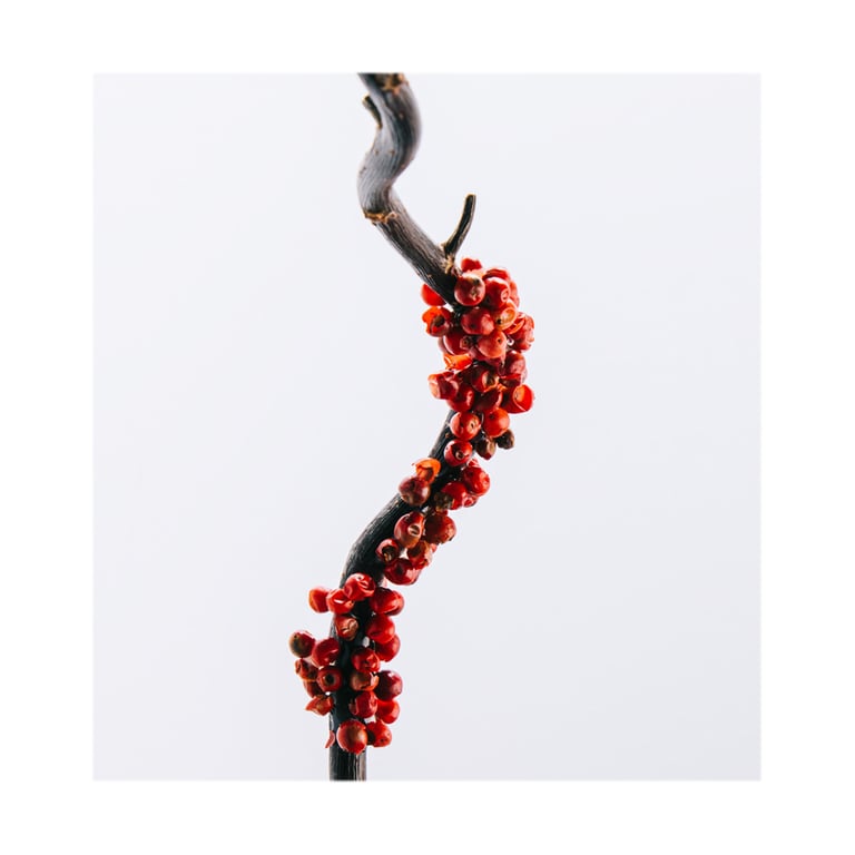 Loewe 7 Set EDP 100 ml + EDP 10 ml + EDP Elixir 10 ml de Loewe