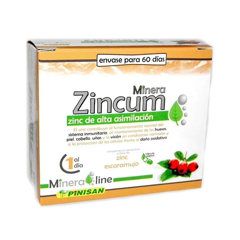 Minera Zincum
