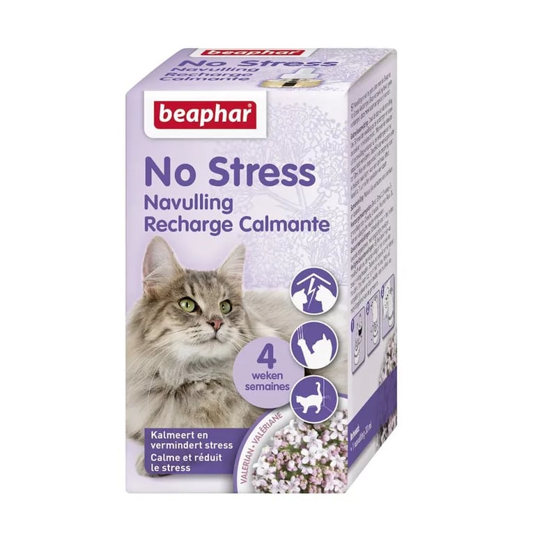 No Stress Chat Recharge