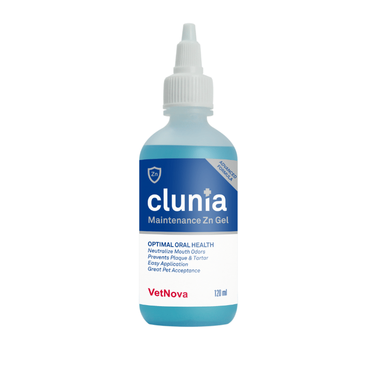 Clunia Maintenance Zingel