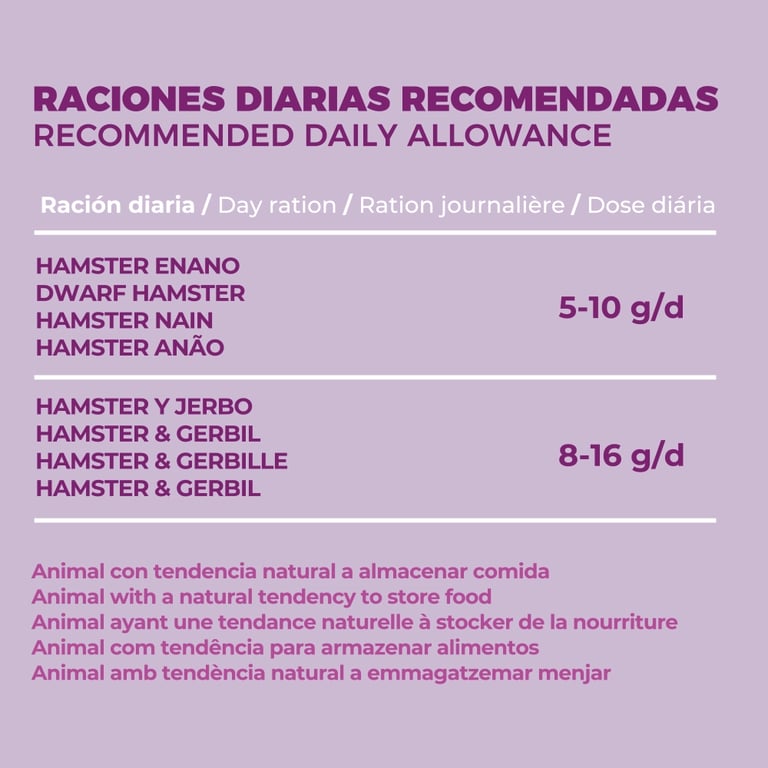 Hamsters et Gerbilles - imagen 8 de 8