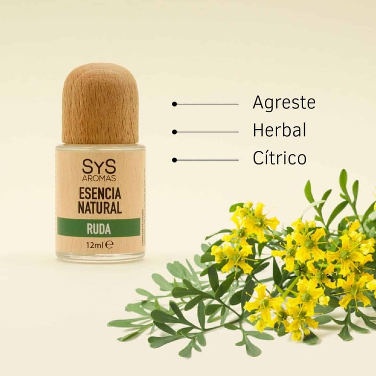 Essence Naturelle de Rue - imagen 4 de 7