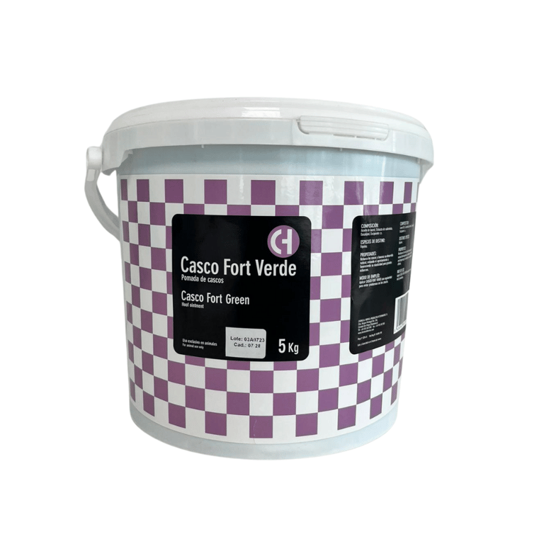 Casco Fort Verde
