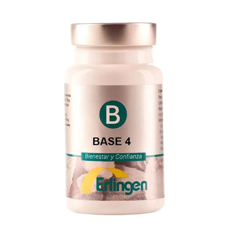 Base 4
