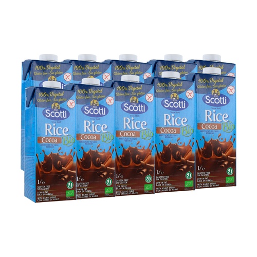 Bebida de Arroz y Cacao Bio