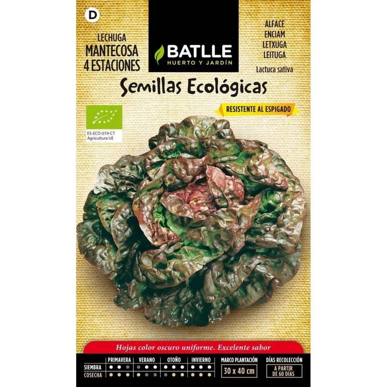 Semillas Lechuga Mantecosa 4 Estaciones Eco