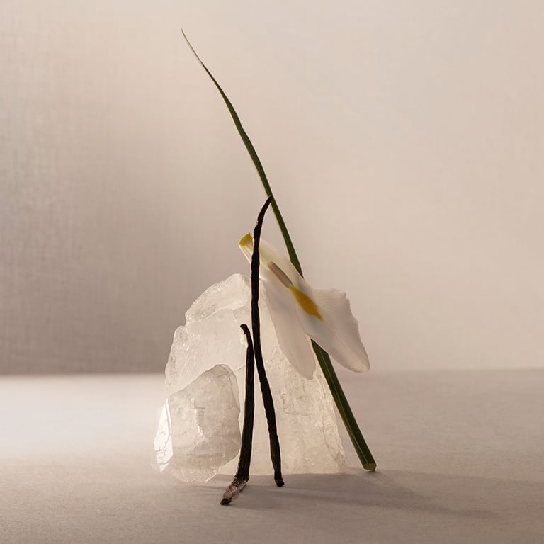 Terracota Musk EDP 60 ml di Adolfo Dominguez